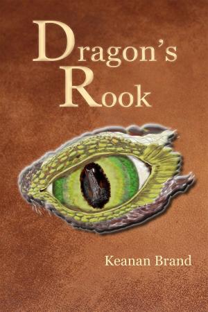 Cover of the book Dragon's Rook by Jane Lindskold