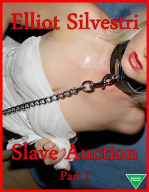 Cover of the book Slave Auction Part I by M.R. Leenysman