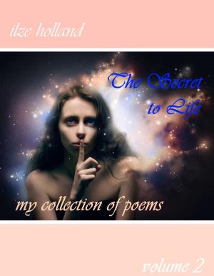Cover of the book The Secret To Life by Ivy Layne