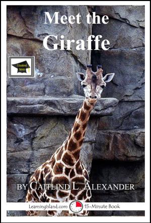 Book cover of Meet the Giraffe: Educational Version