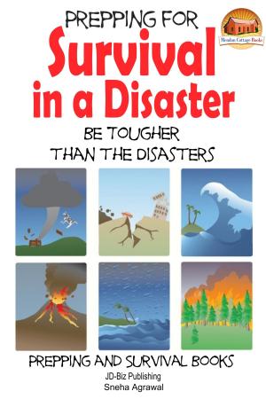 Cover of the book Prepping for Survival in a Disaster: Be Tougher than the Disasters by Zahra Jazeel, John Davidson