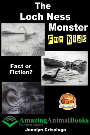 Cover of the book The Loch Ness Monster For Kids Fact or Fiction? by Harriet Kim Anh Rodis, John Davidson