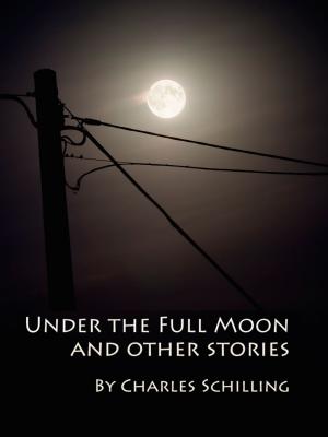 Cover of the book Under the Full Moon and Other Stories by Rick Haynes