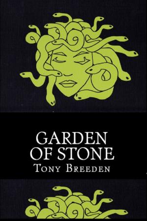 Book cover of Garden of Stone: A Soulbright Prequel