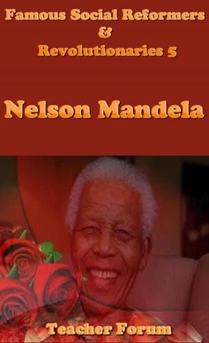 Cover of Famous Social Reformers & Revolutionaries 5: Nelson Mandela