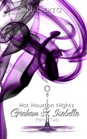 Cover of Hot Houston Nights: Graham & Isabella Part 2