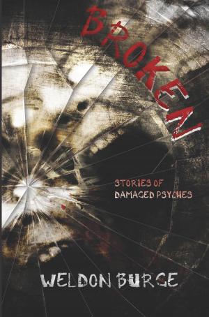 Cover of the book Broken: Stories of Damaged Psyches by Clifford A. Pickover