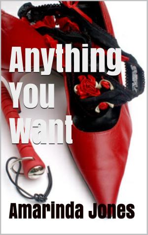 Cover of the book Anything You Want by Amarinda Jones