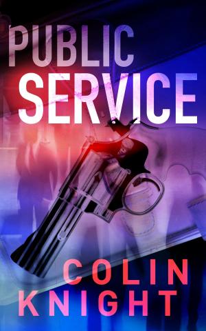 Cover of the book Public Service by Rex Burns