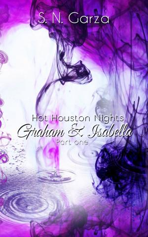 Cover of the book Hot Houston Nights: Graham & Isabella PART 1 by Jerri Corgiat