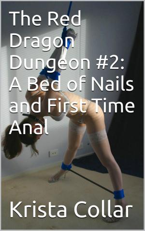 Cover of the book The Red Dragon Dungeon #2: A Bed of Nails and First Time Anal by Stanley Rand