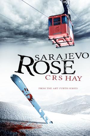 Cover of the book Sarajevo Rose by PJ Gordon