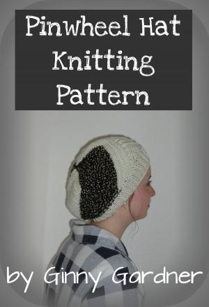 Book cover of Pinwheel Hat Knitting Pattern