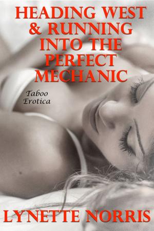 Book cover of Heading West & Running Into The Perfect Mechanic (Taboo Erotica)