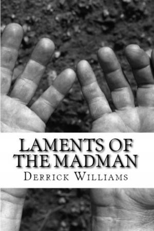 Cover of the book Laments of the Madman by BRIAN LEWIS