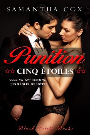 Book cover of Punition Cinq étoiles
