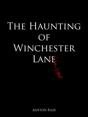 Cover of the book The Haunting of Winchester Lane by Peter David