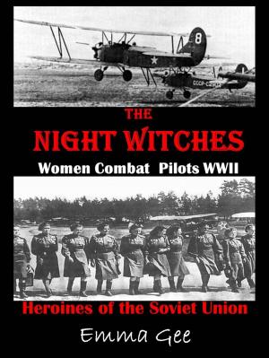 Cover of The Night Witches-Russian Combat Pilots WWII-Heroines of the Soviet Union