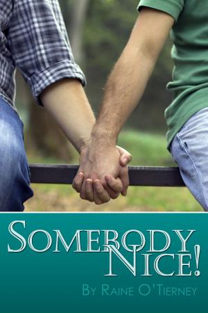 Cover of the book Somebody Nice! by Hugues Rebell