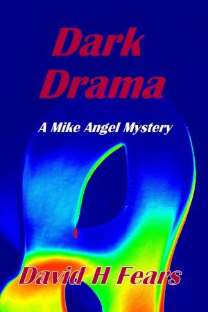 Cover of the book Dark Drama: A Mike Angel Mystery by Lena Goldfinch