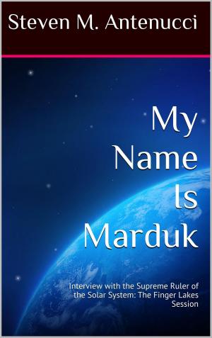 Cover of the book My Name Is Marduk: Interview with the Supreme Ruler of the Solar System, The Finger Lakes Session by Shawn Chesser