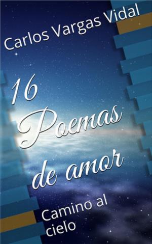 Cover of the book 16 Poemas de amor, Camino al cielo by patrice Gendelman