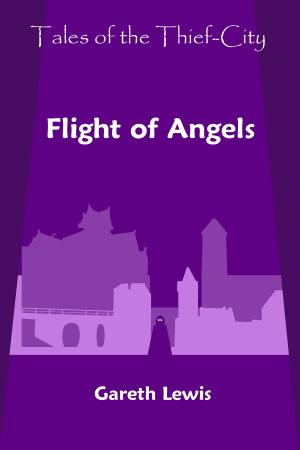 Book cover of Flight of Angels (Tales of the Thief-City)