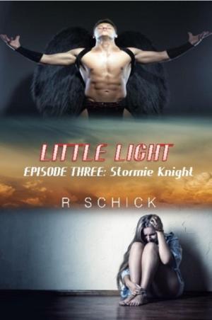 Book cover of Little Light Episode Three: Stormie Knight