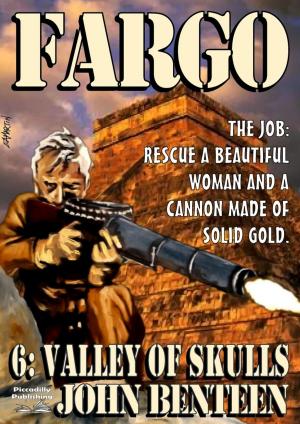 Cover of the book Fargo 6: Valley of Skulls by Brett Waring
