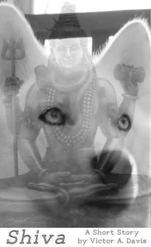 Book cover of Shiva