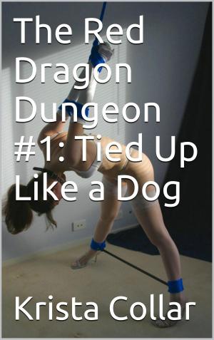 Cover of the book The Red Dragon Dungeon #1: Tied Up Like a Dog by Lisa Cuff
