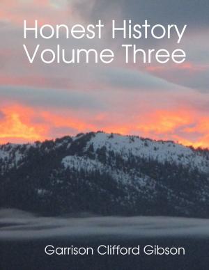 Cover of the book Honest History Volume Three by Felix Gato