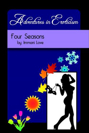 Cover of the book Adventures In Eroticism: Four Seasons by Robert G. Beard, Jr.