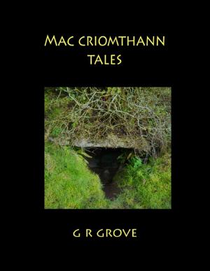 Cover of the book Mac Criomthann Tales by William Hernandez