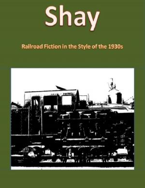 Cover of the book Shay by World Travel Publishing