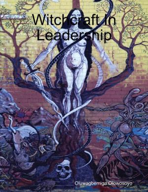 Cover of the book Witchcraft In Leadership by Alan Hayes, Richard McGinlay, Alys Hayes