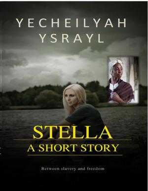 Cover of the book Stella by Briana Blair