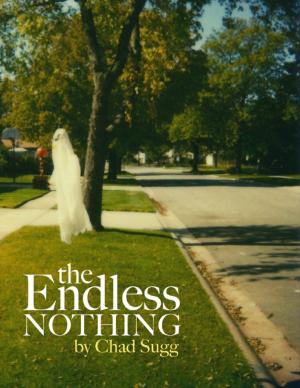 Cover of the book The Endless Nothing by Virinia Downham