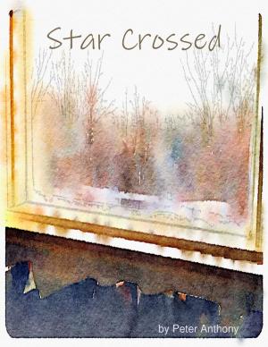 Cover of the book Star Crossed by Clayten Tylor