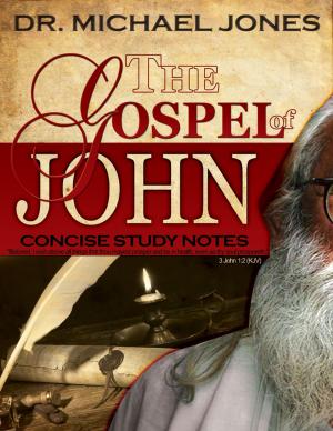 Cover of the book The Gospel of John: Concise Study Notes by L. M. Warren