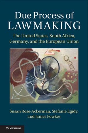 Cover of the book Due Process of Lawmaking by Rachel Beatty Riedl