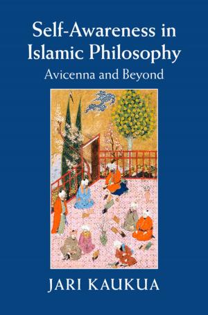 Cover of the book Self-Awareness in Islamic Philosophy by Ian Hodder, Scott Hutson