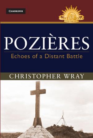 Cover of the book Pozières by Henry Kressel, Thomas V. Lento