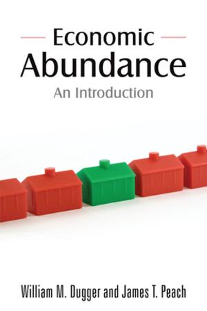Cover of the book Economic Abundance by Fik Meijer