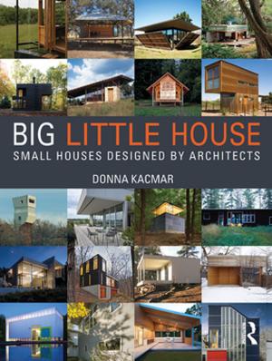 Cover of the book BIG little house by Soren Wibe, Tom Jones
