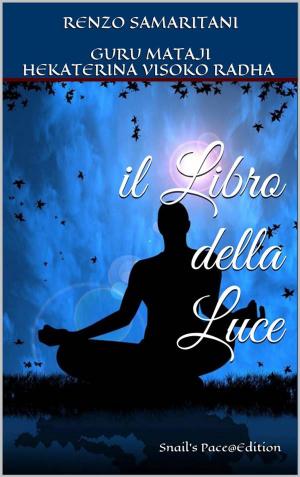 Cover of the book il Libro della Luce by Antonio Origgi