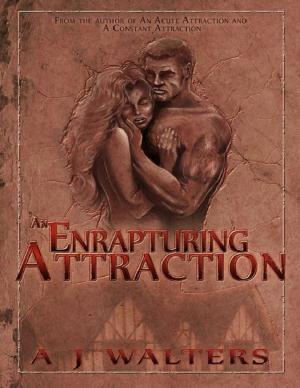 Cover of the book An Enrapturing Attraction by Julie Burns-Sweeney