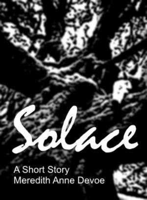 Cover of the book Solace (A Short Story) by AM Kirkby