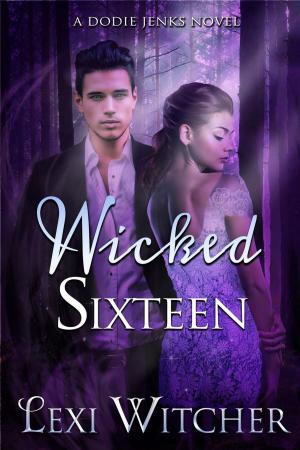 Cover of the book Wicked Sixteen by CC Hogan