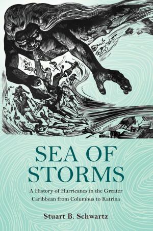 Cover of the book Sea of Storms by William Hoppitt, Kevin N. Laland